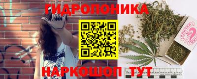 винт Канаш